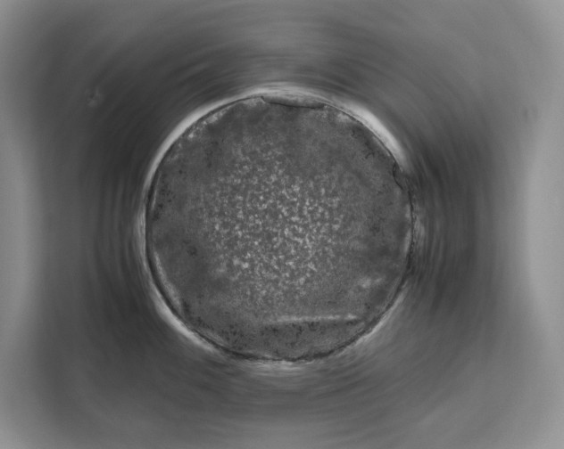 X0000111121100200907141146