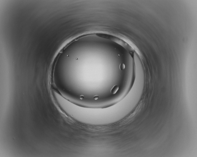 X0000111121101200907141146