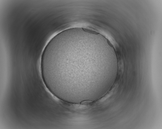 X0000111121103200907141146