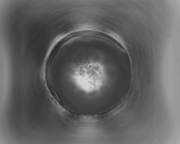 X0000111121104200907141146