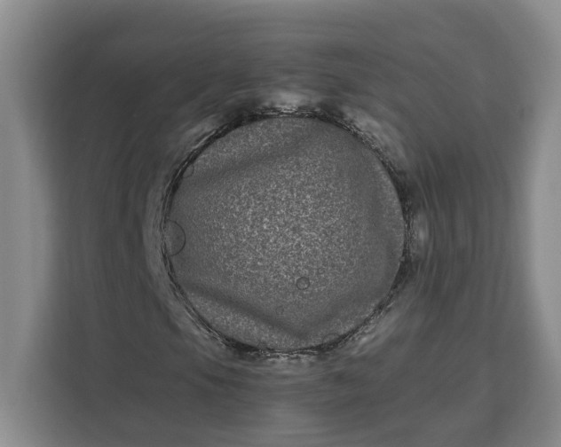 X0000111121105200907141145