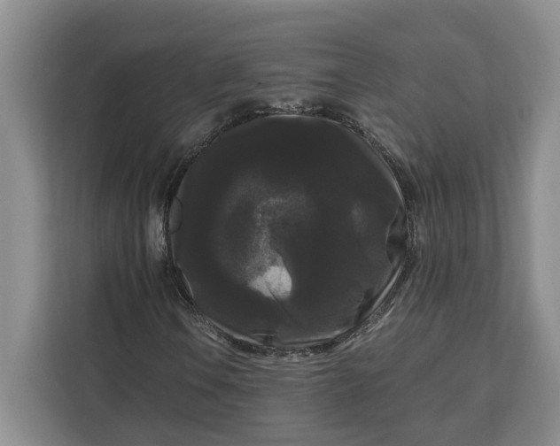 X0000111121106200907141145