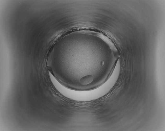 X0000111121110200907141145