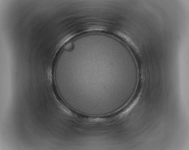 X0000111121113200907141145