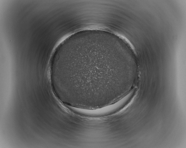 X0000111121114200907141145