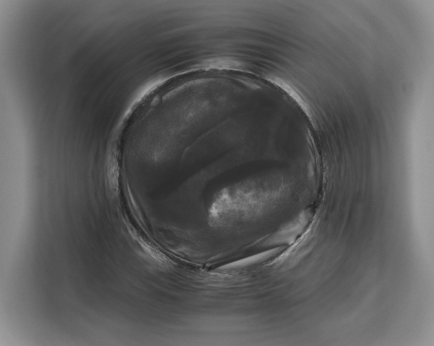 X0000111121115200907141145