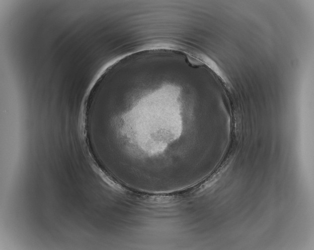 X0000111121116200907141145