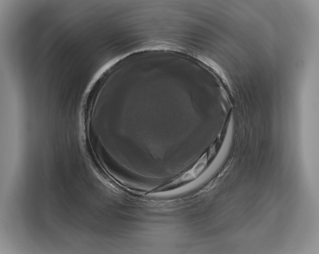 X0000111121120200907141145