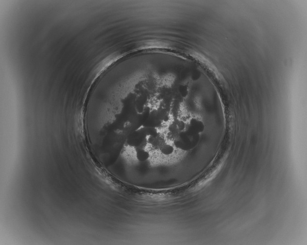 X0000111121121200907141145