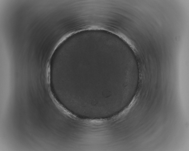 X0000111121126200907141145