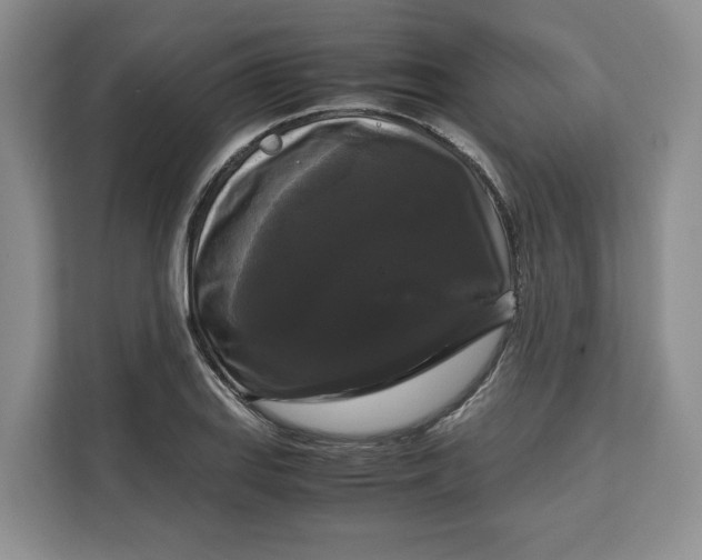 X0000111121127200907141145