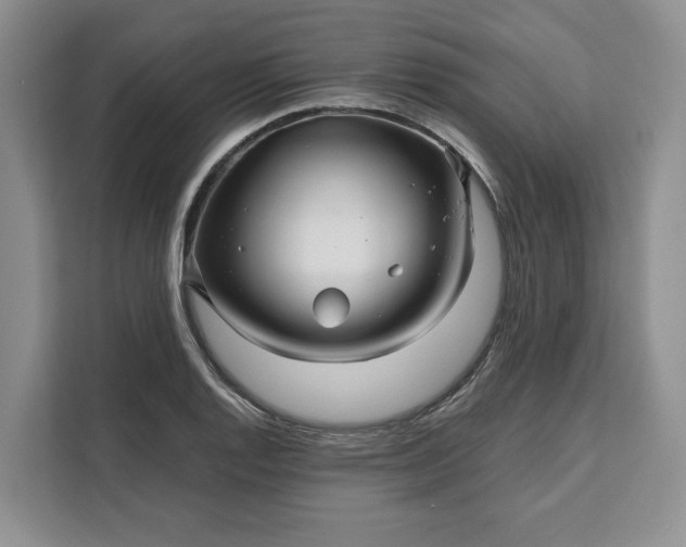 X0000111121128200907141145