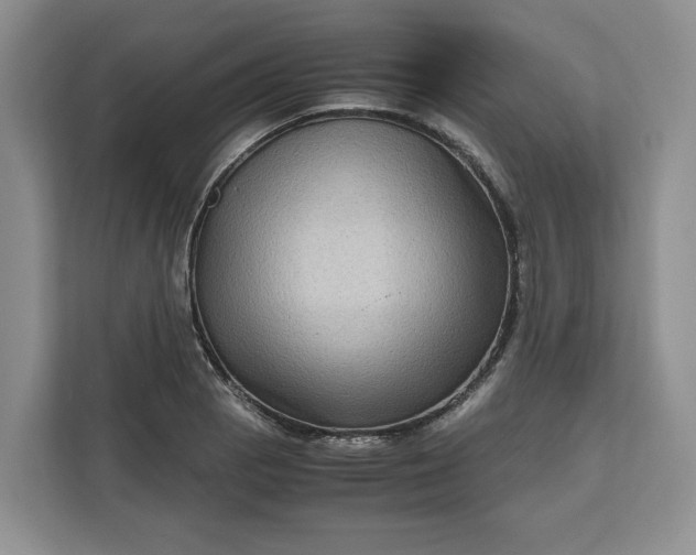 X0000111121129200907141145