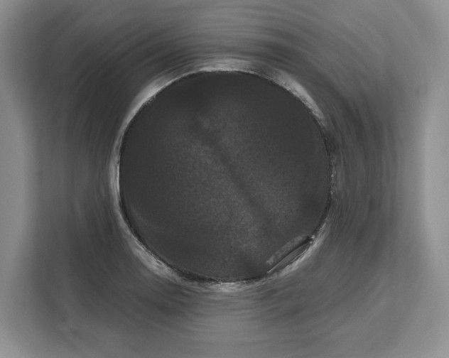 X0000111121130200907141145