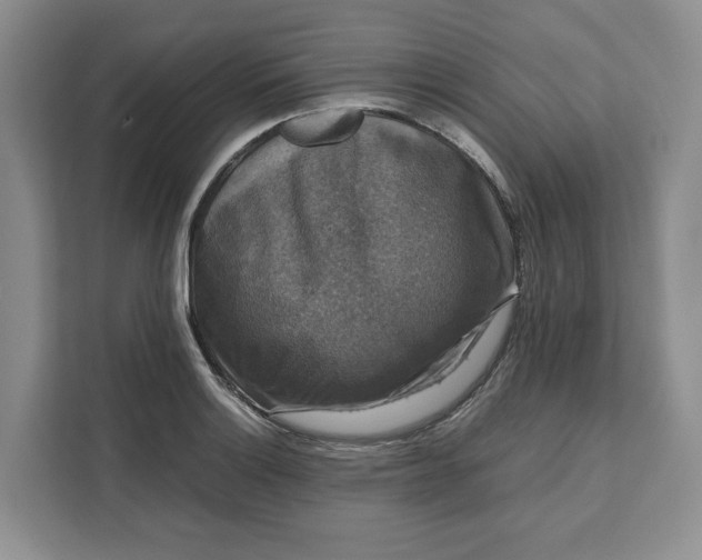 X0000111121132200907141145