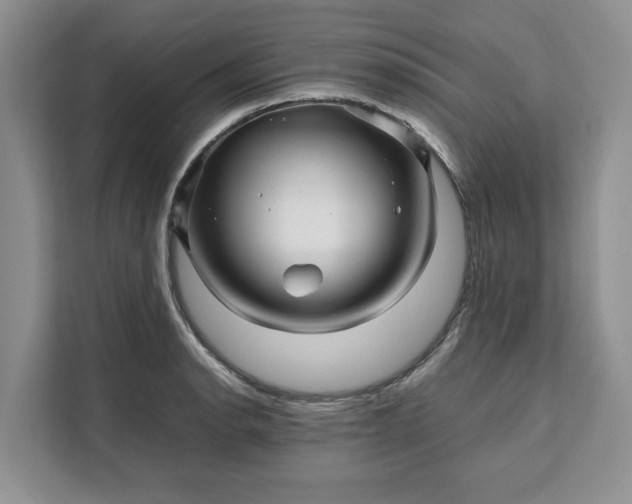 X0000111121134200907141145