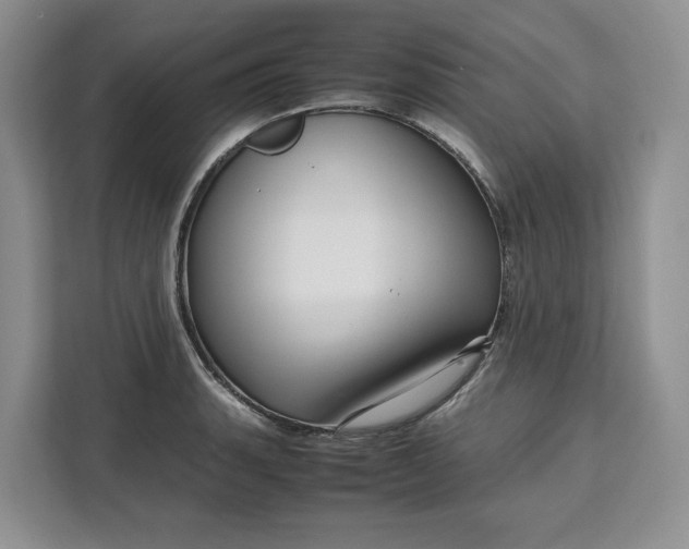 X0000111121135200907141145