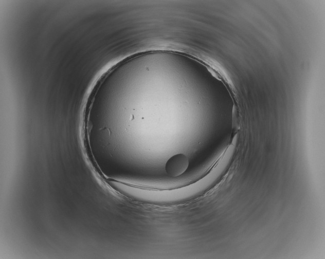 X0000111121136200907141145