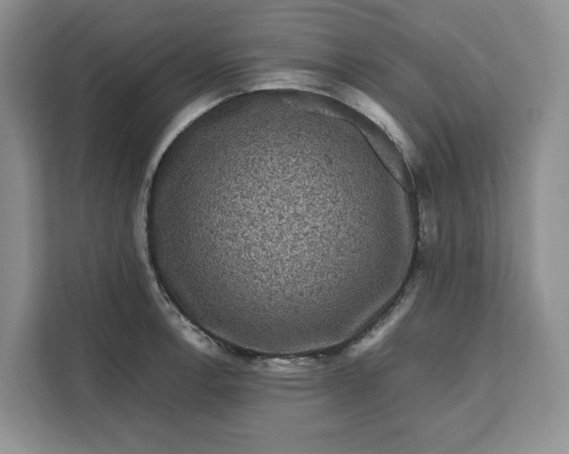 X0000111121138200907141145