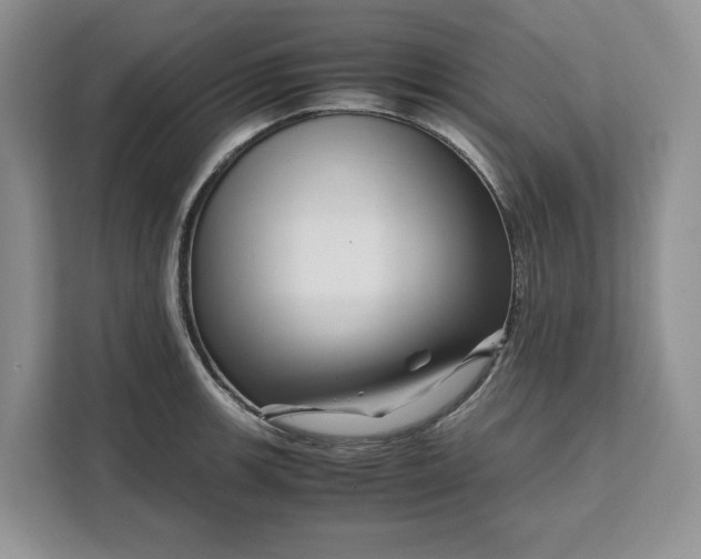 X0000111121139200907141145