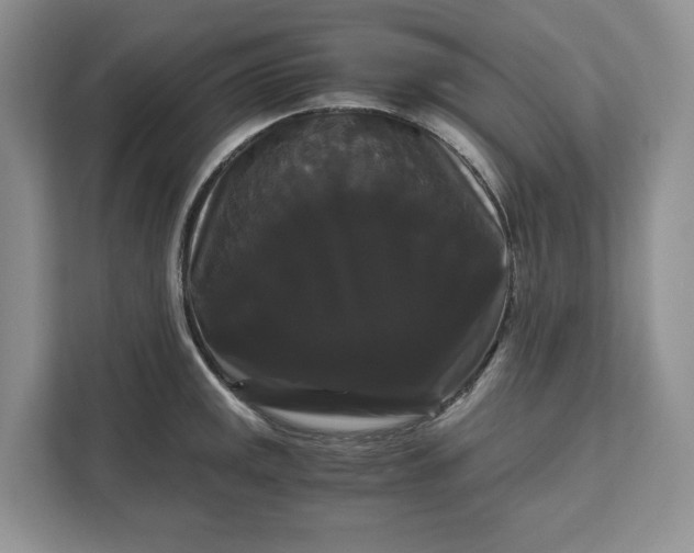 X0000111121141200907141145