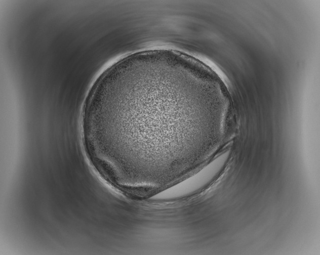 X0000111121142200907141145