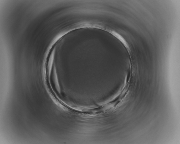 X0000111121144200907141145