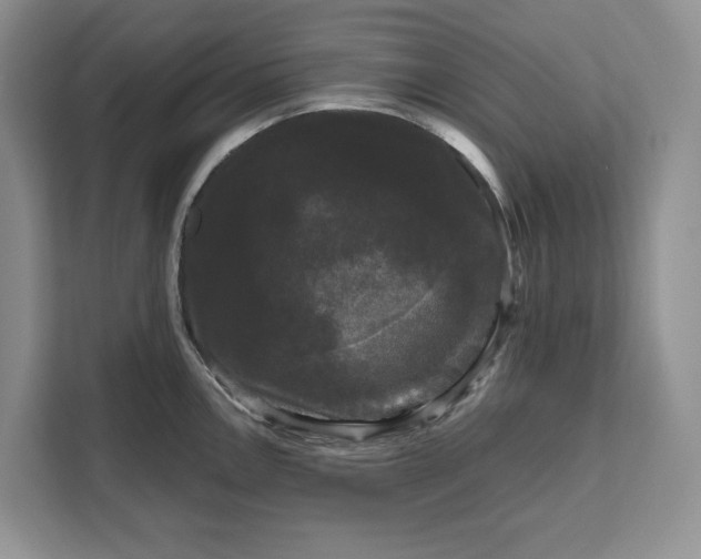 X0000111121146200907141145