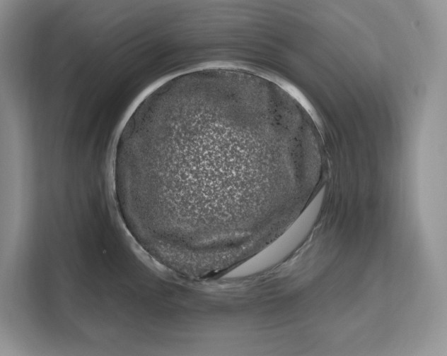 X0000111121148200907141145