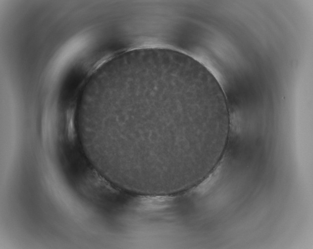 X0000111121150200907141146