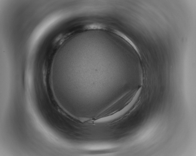 X0000111121151200907141146