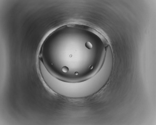 X0000111121152200907141146