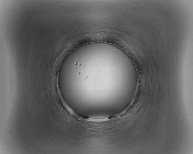 X0000111121153200907141145