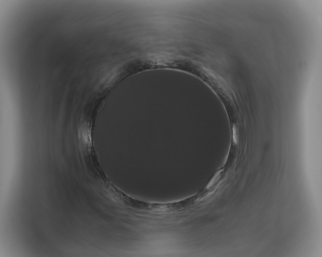 X0000111121155200907141145