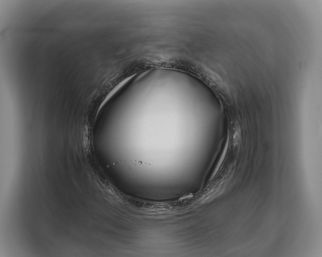 X0000111121156200907141145