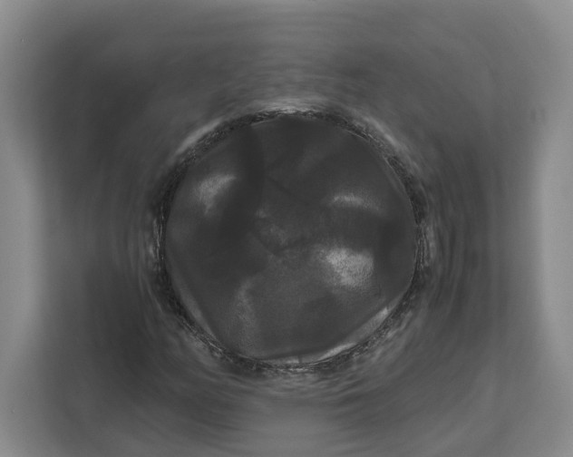 X0000111121158200907141145