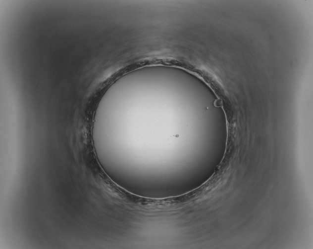 X0000111121159200907141145