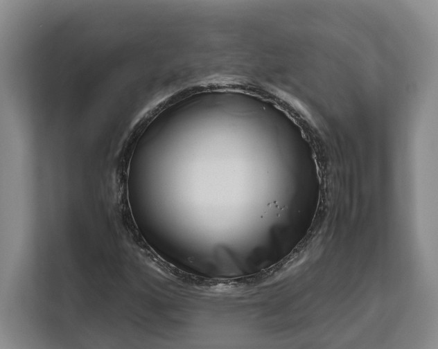 X0000111121160200907141145