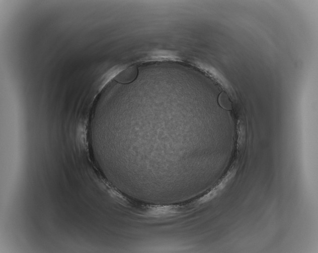 X0000111121162200907141145