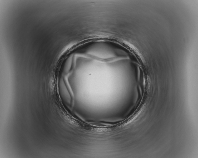 X0000111121163200907141145