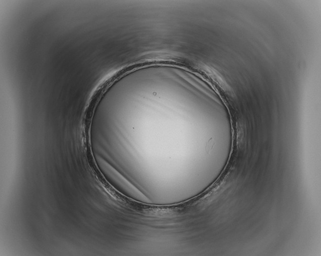 X0000111121164200907141145