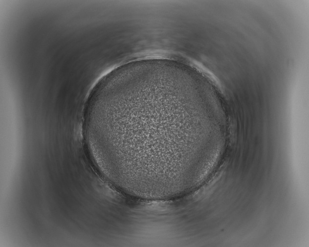 X0000111121166200907141145