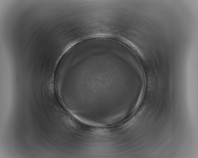 X0000111121170200907141145