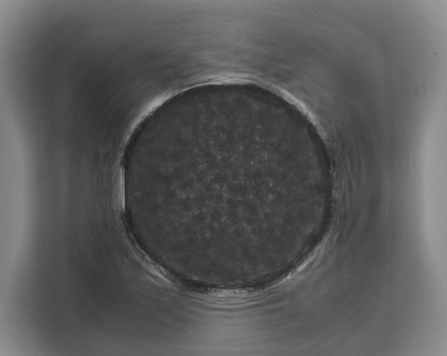 X0000111121171200907141145