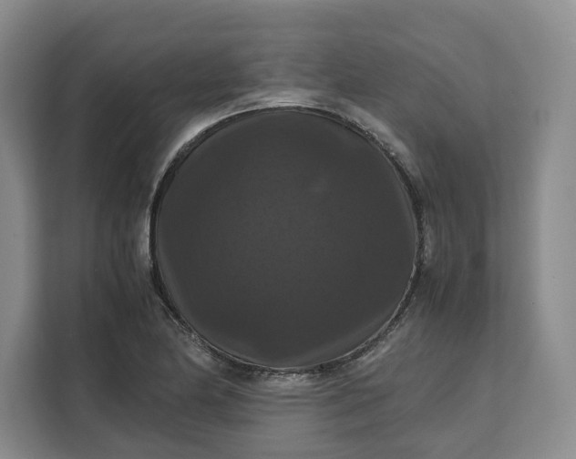 X0000111121174200907141145