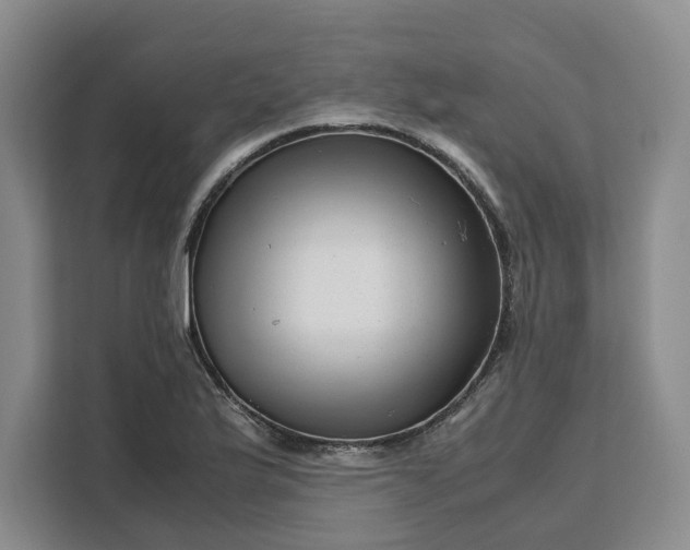 X0000111121175200907141145