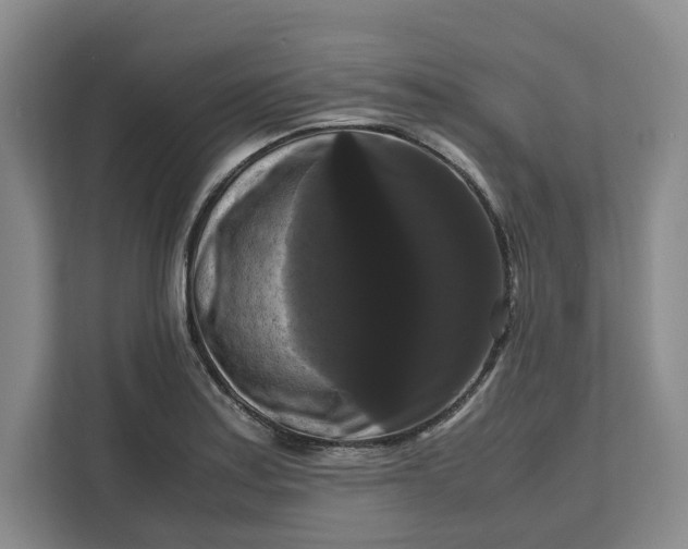 X0000111121179200907141145