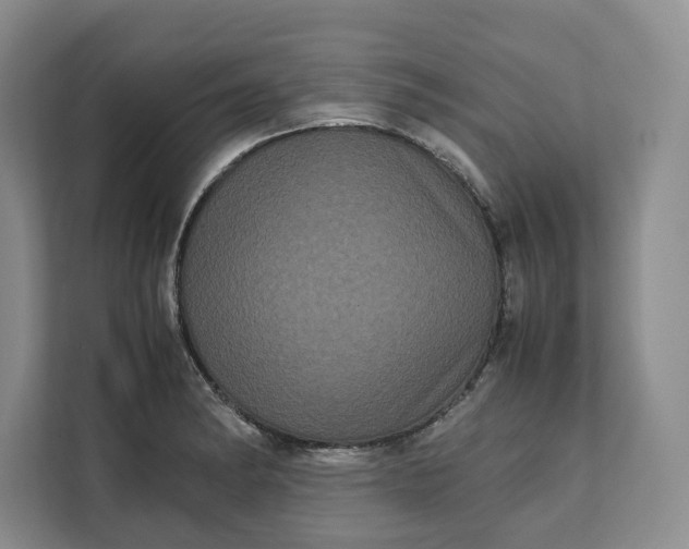 X0000111121182200907141145