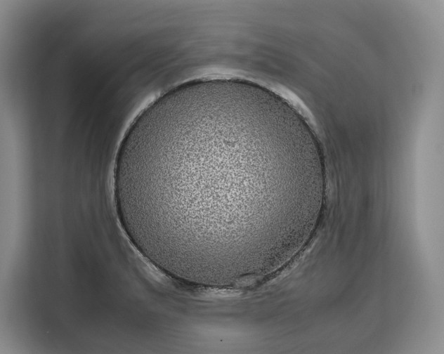 X0000111121183200907141145