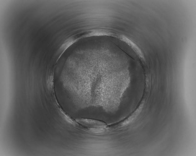 X0000111121185200907141145